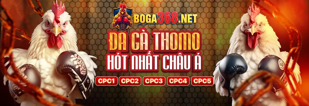 Hỗ trợ qua Email