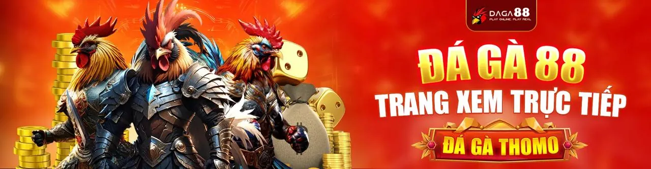 Trò chuyện trực tuyến 24/7